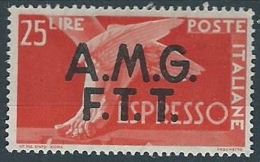 1947-48 TRIESTE A ESPRESSO DEMOCRATICA 25 LIRE MH * - ED259-3 - Poste Exprèsse