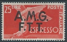 1947-48 TRIESTE A ESPRESSO DEMOCRATICA 25 LIRE MH * - ED259-4 - Exprespost