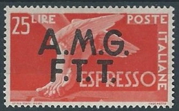 1947-48 TRIESTE A ESPRESSO DEMOCRATICA 25 LIRE MH * - ED259-4 - Posta Espresso