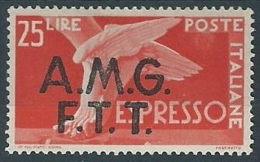 1947-48 TRIESTE A ESPRESSO DEMOCRATICA 25 LIRE MH * - ED259-5 - Poste Exprèsse