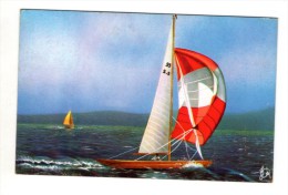 Cp , Sport , Voile , Olumpic Flash N° 40 , Yachting 5 M 50 , Jeux Olympiques , 2 SCANS , Publicité - Sailing