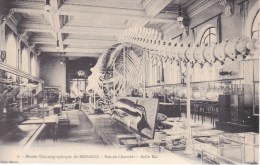 Monaco  .   Musée Océangraphique De Monaco  1912 - Museo Oceanográfico