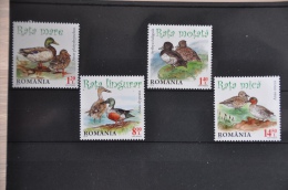 N 179 ++ ROMANIA 2014 BIRDS VOGELS OISEAUX DUCK EEND CANART POSTFRIS MNH NEUF ** - Ongebruikt