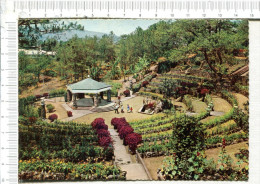 PHILIPPINES  -  Ampitheater  - Camp  John Hay -  BAGUIO  CITY - Filipinas