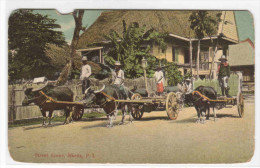 Bullock Wagons Street Scene Manila Philippines 1907c Postcard - Philippinen