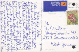 South Africa PPC Umgeni River Airmail Label CAPETOWN 1980 Card Karte SCHWANEWERDE Germany (2 Scans) - Airmail