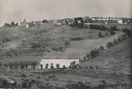 48 // CHATEAUNEUF DE RANDON   Vue Générale  CPSM COMBIER EDIT  150 X 105 - Chateauneuf De Randon