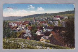 ZH Affoltern A. Albis 1913.IX.28 Affoltern  Im Frühling Foto Guggenheim - Affoltern