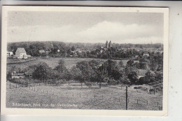 5090 LEVERKUSEN - SCHLEBUSCH, Blick Von Der Steinrütsche, 1955 - Leverkusen