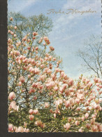 5k. West Germany, Frohe Pfingsten - Pentecost - Spring Flowers Flora - Pinksteren