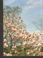 5k. West Germany, Frohe Pfingsten - Pentecost - Spring Flowers Flora - Pfingsten