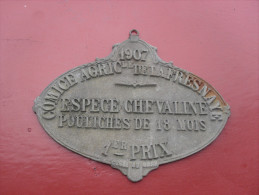 Plaque Comice Agricole 1907  La Fresnaye Sur Chedouet  Dept 72  Sarthe  Race Chevaline - Sonstige & Ohne Zuordnung