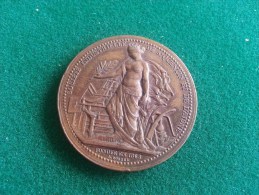Societe Industrielle De St Quentin Et De L'Aisne, 2e Prix Lépine Dominique 1895, 20 Gram (medailles0986) - Professionnels / De Société
