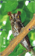 O03178 China Phone Cards Owl Puzzle 52pcs - Uilen