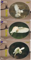 O03183 China Phone Cards Owl 43pcs - Gufi E Civette