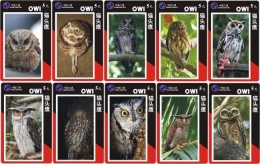 O03185 China Phone Cards Owl 120pcs - Eulenvögel