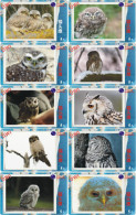 O03186 China Phone Cards Owl 120pcs - Eulenvögel