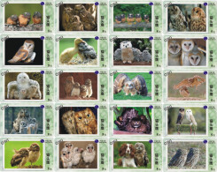 O03187 China Phone Cards Owl 35pcs - Eulenvögel