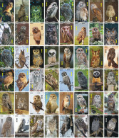 O03191 China Phone Cards Owl Puzzle 192pcs - Eulenvögel