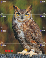 O03197 China Phone Cards Owl Puzzle 24pcs - Eulenvögel