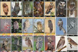 O03200 China Phone Cards Owl Puzzle 84pcs - Eulenvögel