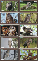 O03201 China Phone Cards Owl 60pcs - Búhos, Lechuza