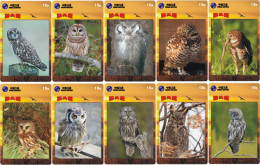O03203 China Phone Cards Owl 80pcs - Hiboux & Chouettes