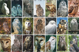 O03208 China Phone Cards Owl Puzzle 94pcs - Eulenvögel