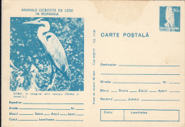 BIRDS, GREY HERON, PC STATIONERY, ENTIER POSTAL, 1977, ROMANIA - Pelikanen