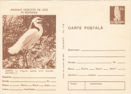 BIRDS, LITTLE EGRET, PC STATIONERY, ENTIER POSTAL, 1977, ROMANIA - Pélicans