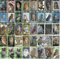 O03205 China Phone Cards Owl Puzzle 160pcs - Eulenvögel