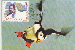 BIRDS, ATLANTIC PUFFIN, CM, MAXICARD, CARTES MAXIMUM, 1990, ROMANIA - Palmípedos Marinos