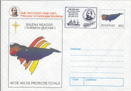 BLACK WHALE, BELGICA EXPEDITION, SHIP, COVER STATIONERY, ENTIER POSTAL, 1997, ROMANIA - Baleines