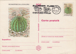 CACTUSSES, PC STATIONERY, ENTIER POSTAL, 1997, ROMANIA - Cactus