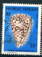 POLYNESIE  PA (o) Y&T N° 116 : Coquillage - Used Stamps
