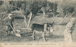 ETHNIQUES ET CULTURES - AFRIQUE DU NORD - LABOURAGE - Femme Arabe Traînant La Charrue (âne) - Unclassified