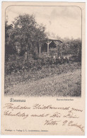Germany Deutschland, Ilmenau Ravenehäuschen, Sent To Tallinn Reval Estonia 1902 - Ilmenau