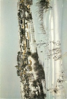 CPSM Laguiole-Les Monts D'Aubrac Sous La Neige  L1631 - Laguiole