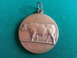 Ministerie Van Landbouw 1972, 40 Gram (medailles0993) - Sonstige & Ohne Zuordnung