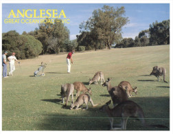 (PH 270) Australia - VIC - Anglesea Golf Course (with Kangaroo) - Ohne Zuordnung
