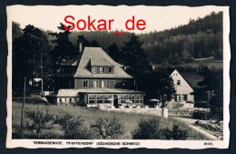 AK Pfaffendorf / Königstein (Sächsische Schweiz) 1939, Terrassenhof, Sachsen - Koenigstein (Saechs. Schw.)