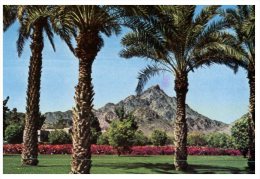 (987) Older Postcard - USA - Arizona - Phoenix Squaw Peak - Phönix
