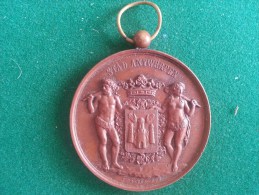 De Ware Vrienden, Fanfaren, Inhuldiging Uniformen 29/6/1890 (F. Baetes), 49 Gram (medailles0052) - Sonstige & Ohne Zuordnung