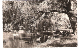 Deutschland - Dahme ( Mark ) - Partie Im Schlosspark - Dahme