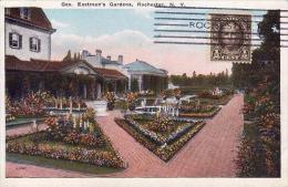 333 - Rochester,Eastman's Gardens,TCV,non-circule - Rochester