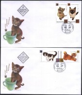 FDC-s Cats  2013  From Bulgaria - Lettres & Documents