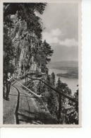 Bürgenstock Alphornbläser Im Felsenweg 1939 - Sonstige & Ohne Zuordnung