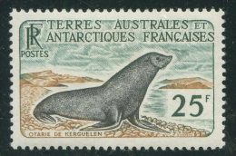 ANTARCTICA FRANCE - SEAL Yvert 16 MH - Andere & Zonder Classificatie