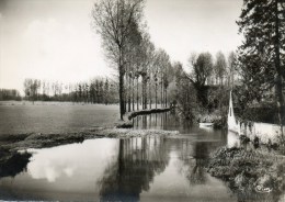 Reugny. Bords De La Brenne. - Reugny