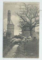 Juvigny-sous-Andaine (61) : Troupeau De Moutons En GP Aux Tours De Bonvouloir En 1907 (animé) PF. - Juvigny Sous Andaine